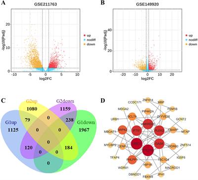 PLEK2: a potential biomarker for metastasis and prognostic evaluation in uveal melanoma